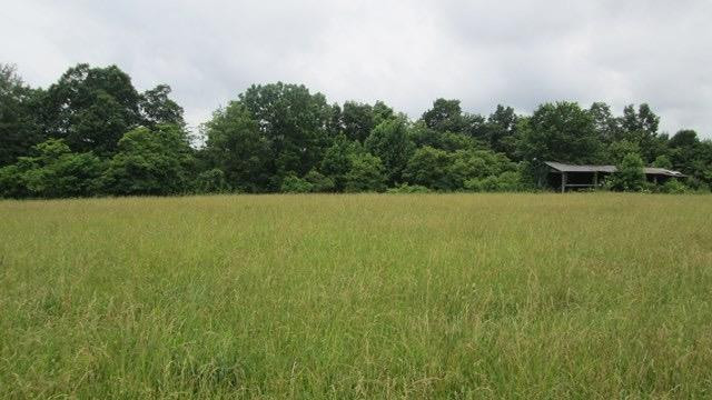 3466 Hester Ridge Road Wallingford, KY 41093 - Photo 3 of 5 Photo 3