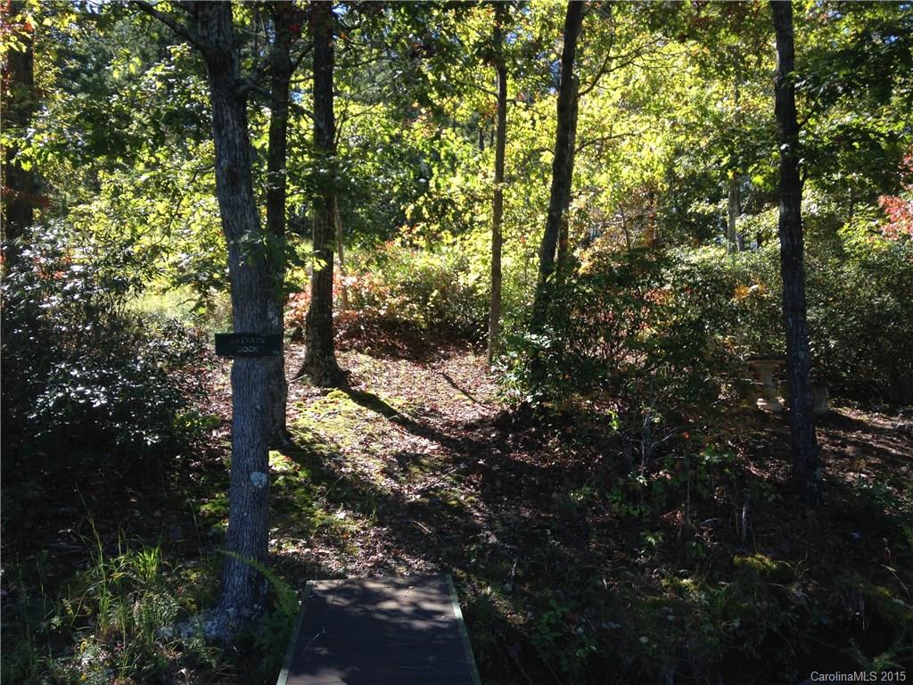 A-2 Hawk Ridge Drive Mill Spring, NC 28756 - Photo 3 of 3