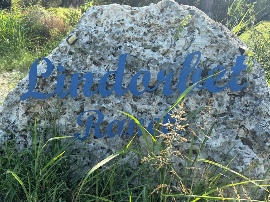 16-lindorbet Lindorbet Road Kempner, TX 76539 - Photo 4 of 5 Exterior view