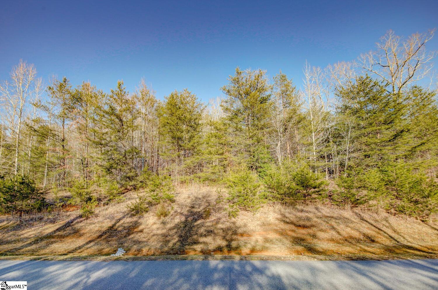 119 Pardo Road Landrum, SC 29356 - Photo 6 of 25