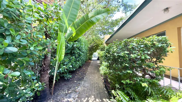 a view of a pathway both side of yard