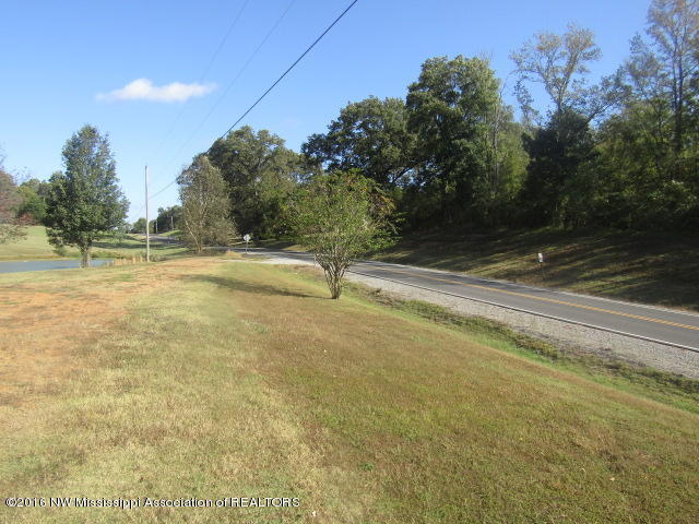 5155 Poplar Corner Road Walls, MS 38680 - Photo 1 of 31 IMG_2860