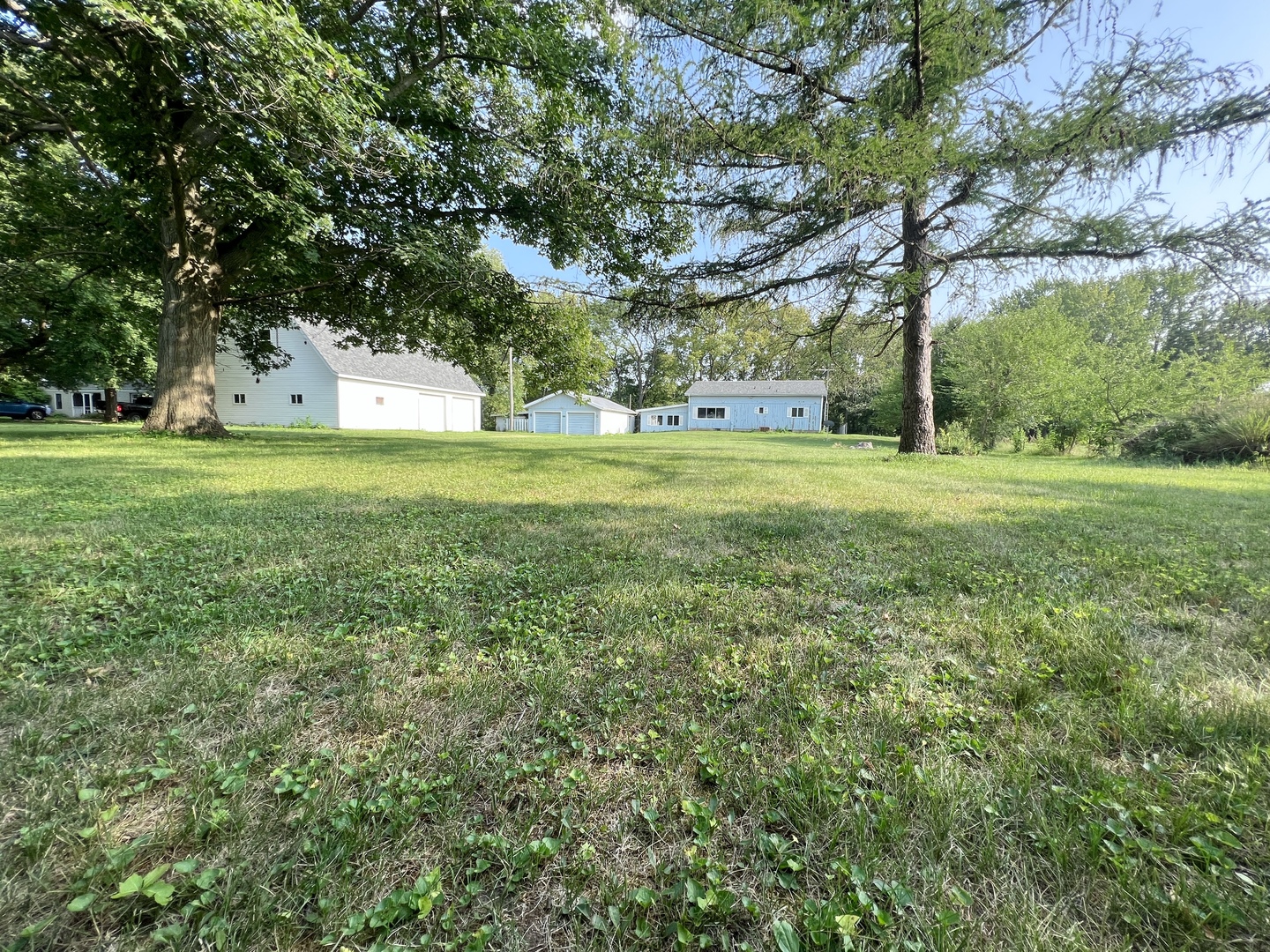 20747 Moline Road Lyndon, IL 61261 - Photo 2 of 32 a view of a big yard with a tree