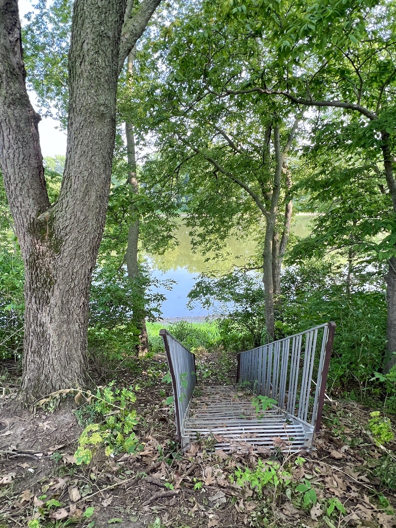 20747 Moline Road Lyndon, IL 61261 - Photo 7 of 32 a view of swing with plants and large trees