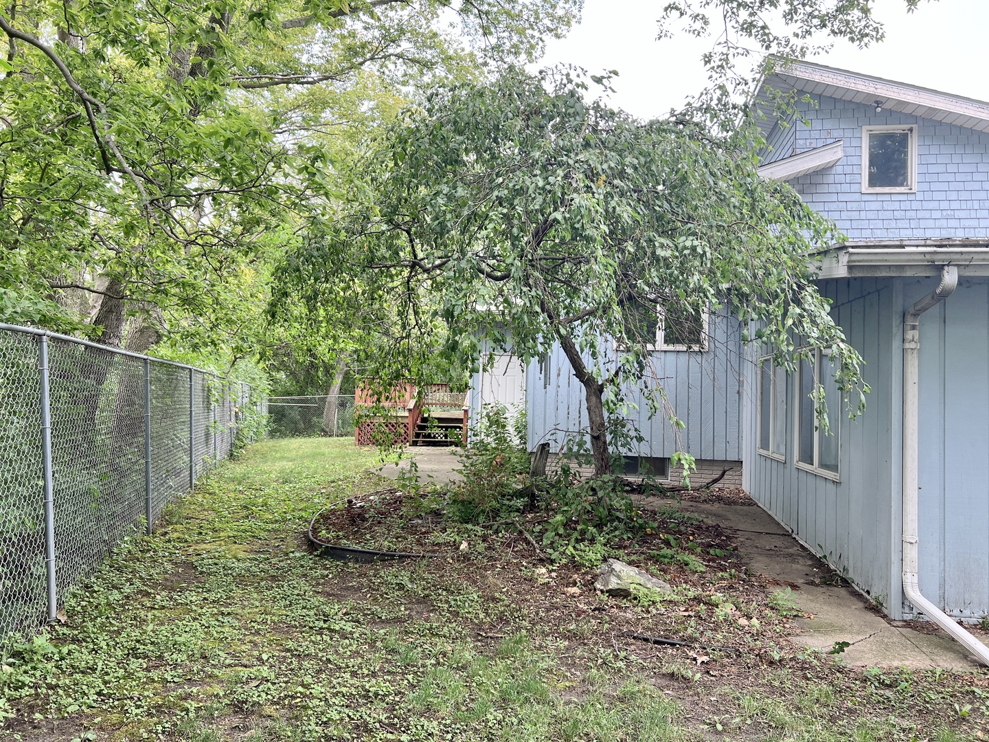 20747 Moline Road Lyndon, IL 61261 - Photo 10 of 32 a backyard of a house with plants and large tree