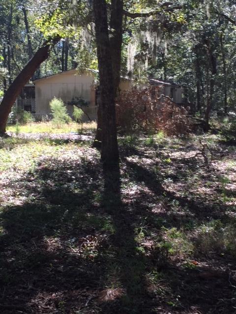 8584 Raccoon Island Road Edisto Island, SC 29438 - Photo 5 of 8 IMG_2315