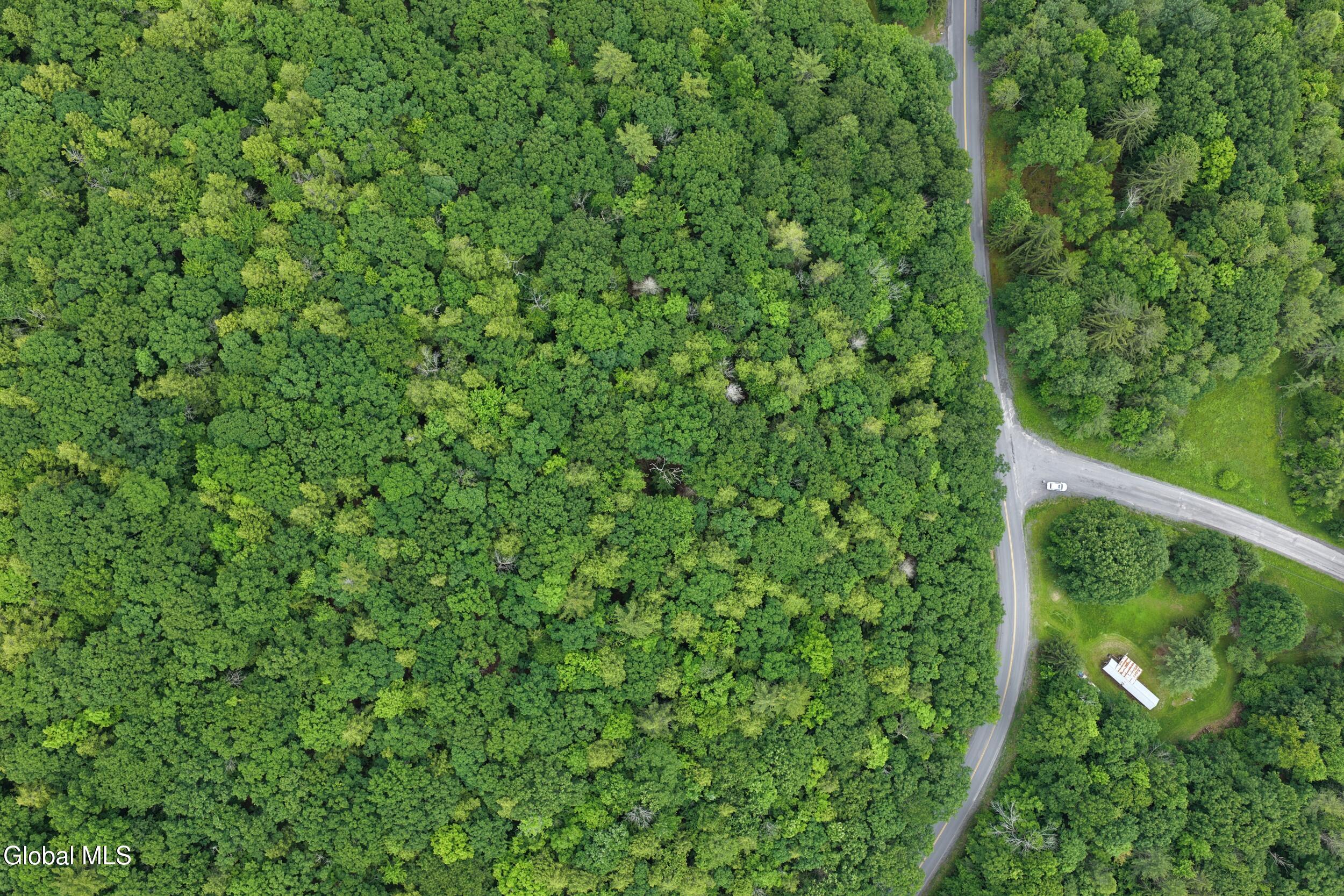 L1.00 Cotton Hill Road Middleburgh, NY 12122 - Photo 10 of 17 dji_20260616013825_0056_d