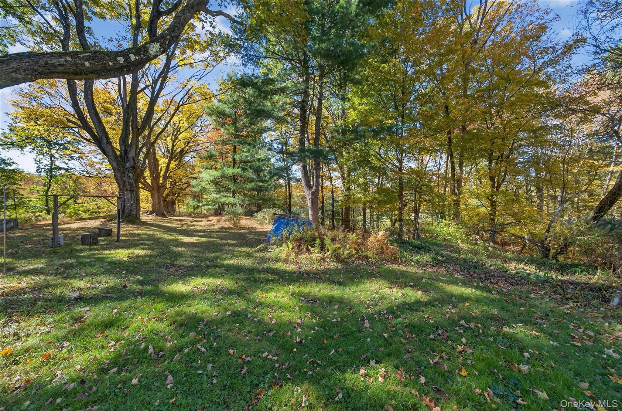 41 Whitlock Road Otisville, NY 10963 - Photo 44 of 48 Nature lovers will so enjoy strolling through the property!
