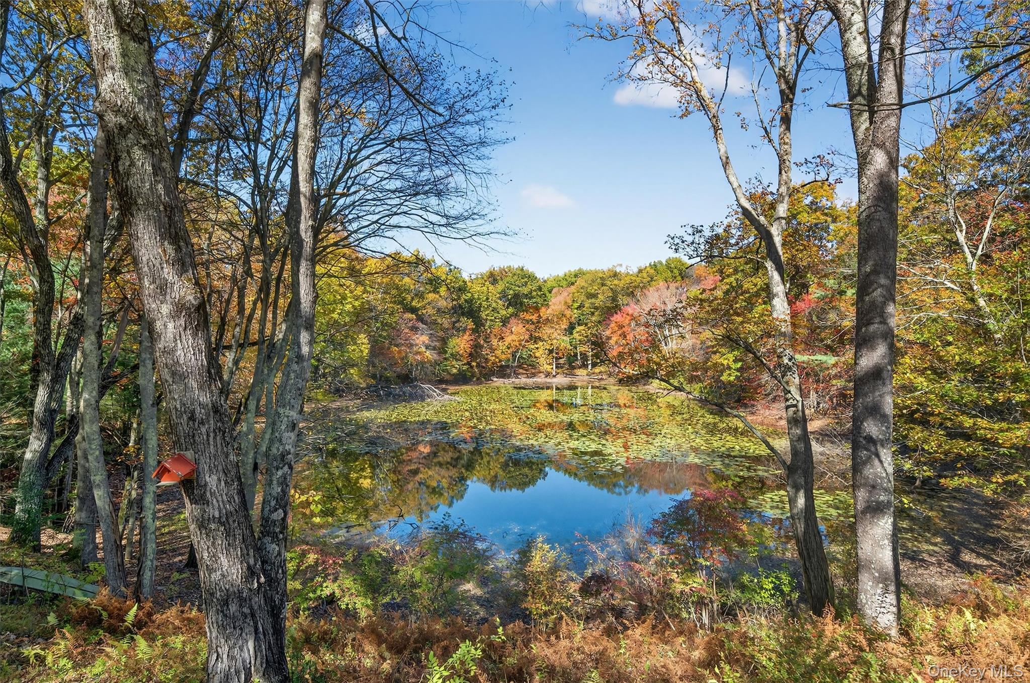 41 Whitlock Road Otisville, NY 10963 - Photo 46 of 48 Imagine relaxing on a small rowboat surrounded by gorgeous fall foliage!