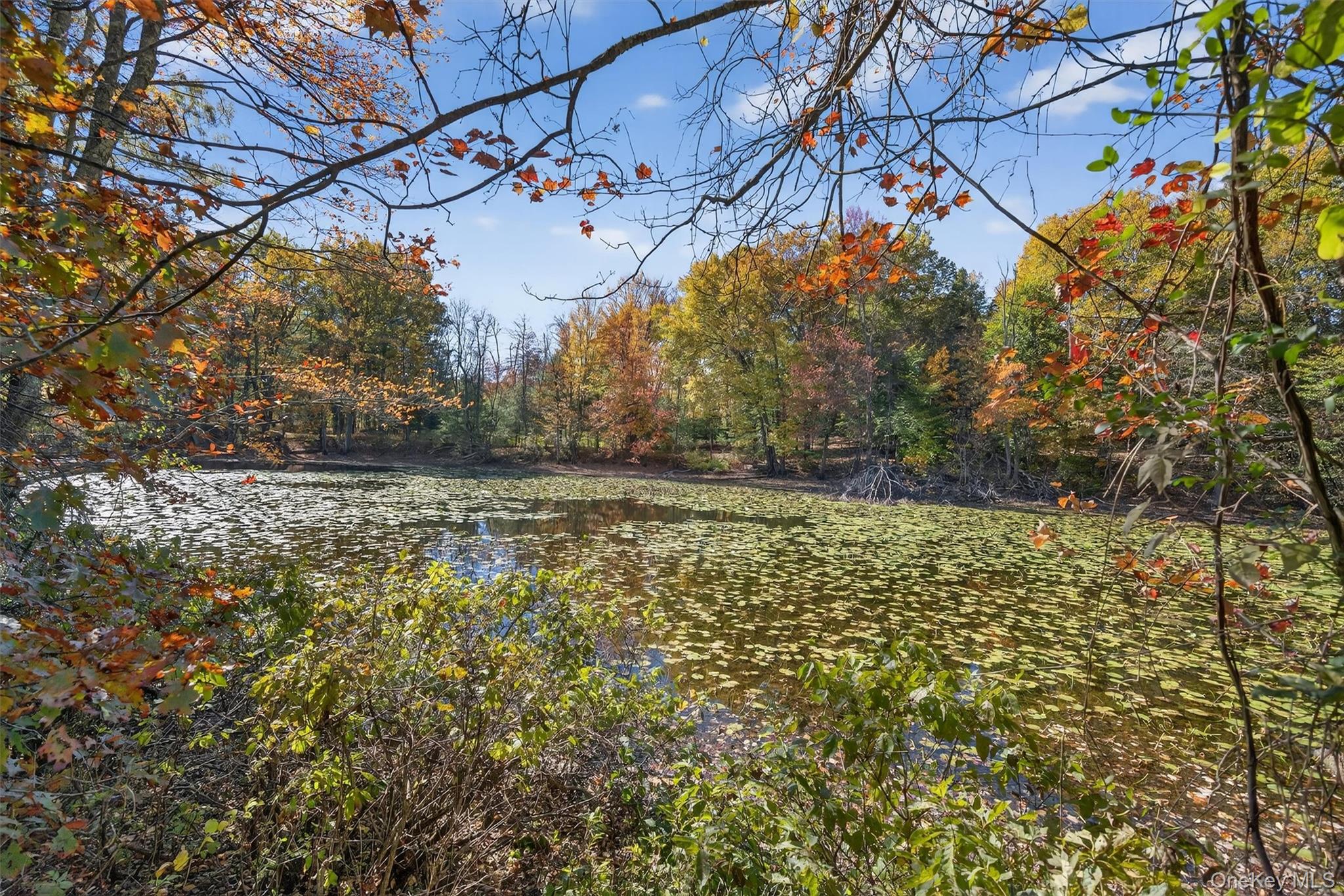 41 Whitlock Road Otisville, NY 10963 - Photo 47 of 48 Privacy! backyard backs up to a conservatory where no building is allowed.