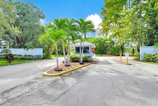a view of a park with trees and plants