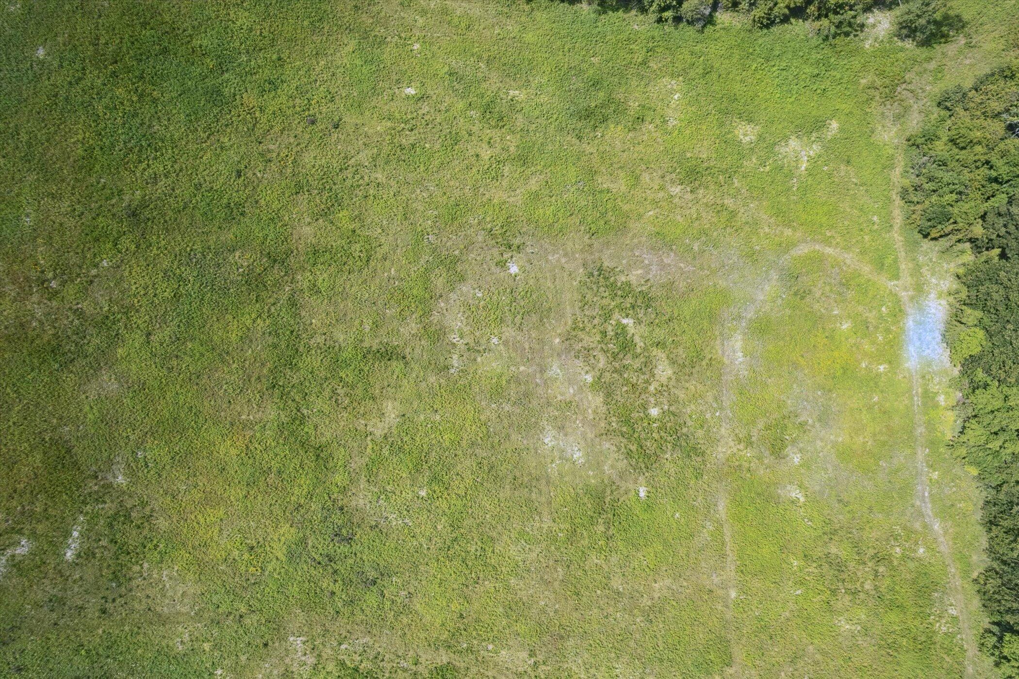 0 West Silver Street Reading, MI 49274 - Photo 12 of 15 12-W-Elm-St-Reading-MI-49274-WindowStill