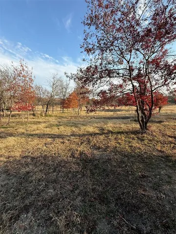 a view of a yard with lots of trees