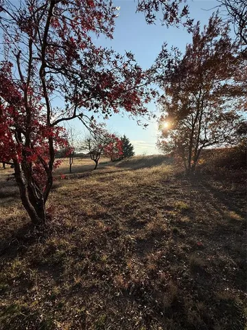 a view of yard with green space