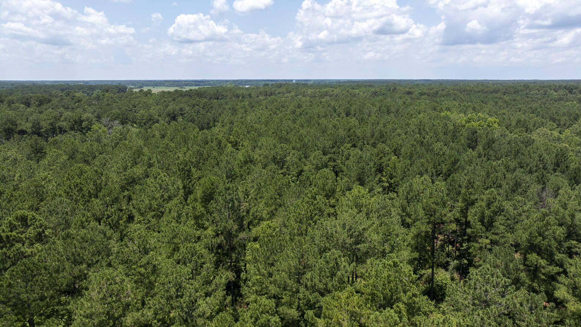0 Toney Bay Road, Unit 3 Holly Hill, SC 29059 - Photo 32 of 36 Toney Bay-32
