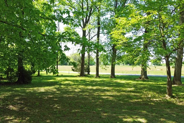 $824,900 | 1371 Johns Loop Road, Franklin, KY 42134