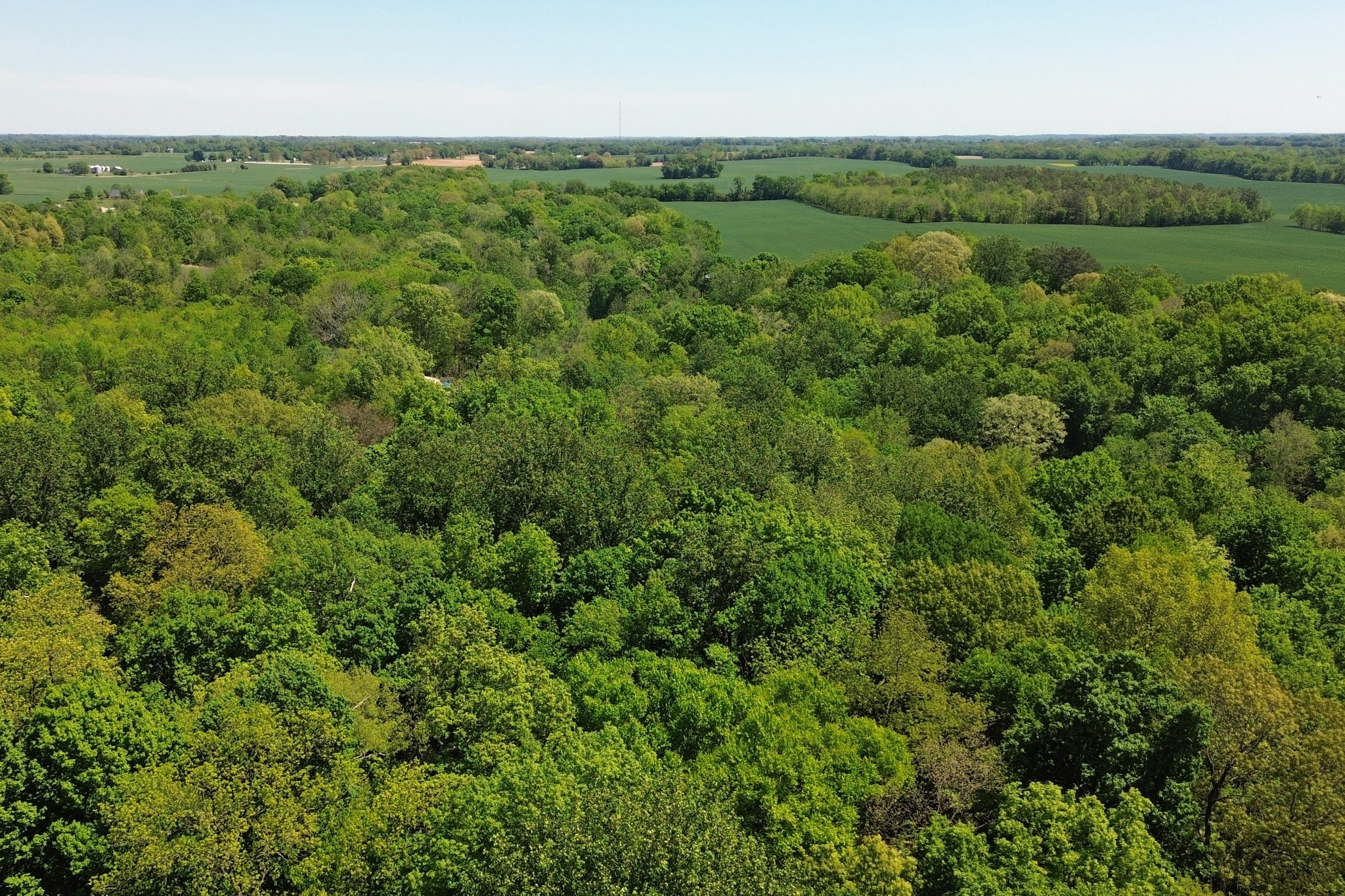 1371 Johns Loop Road Franklin, KY 42134 - Photo 60 of 72 an aerial view of residential houses with outdoor space and trees