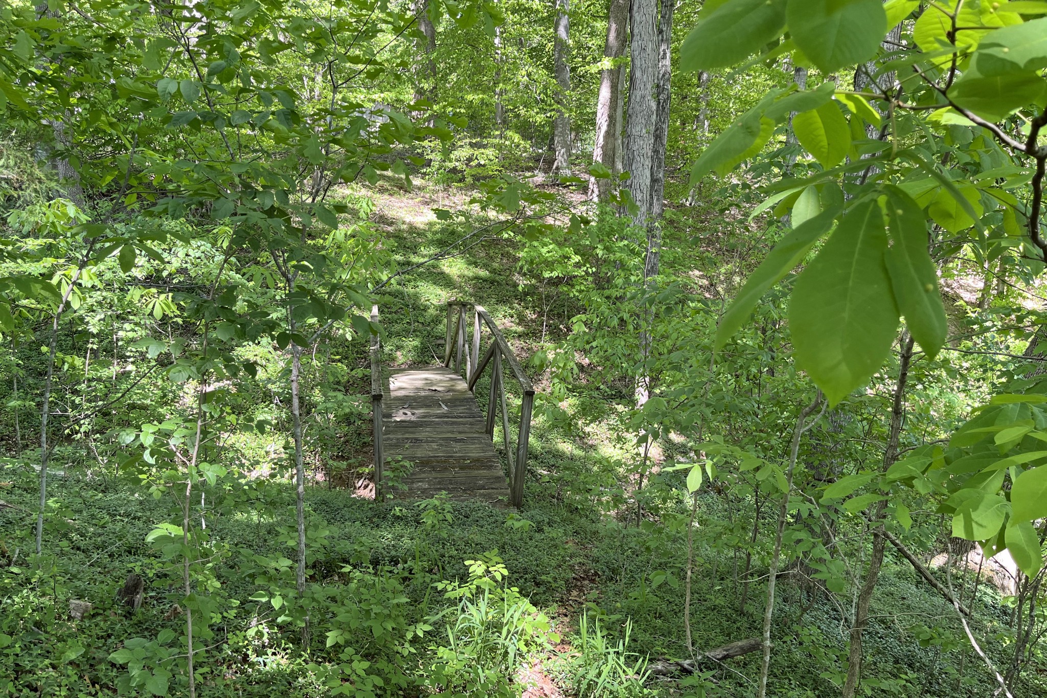 1371 Johns Loop Road Franklin, KY 42134 - Photo 62 of 72