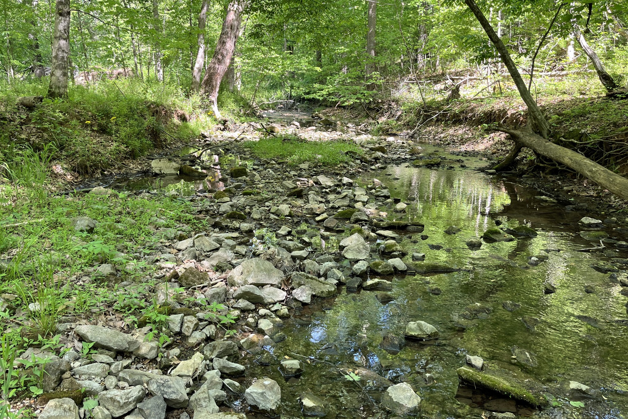 1371 Johns Loop Road Franklin, KY 42134 - Photo 64 of 72