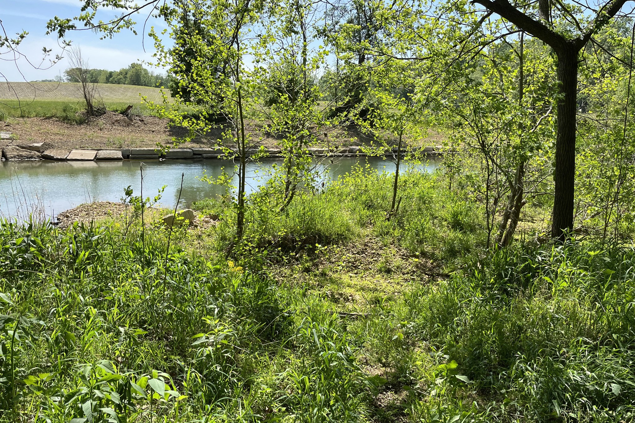 1371 Johns Loop Road Franklin, KY 42134 - Photo 69 of 72 a view of a lake with houses in outdoor space