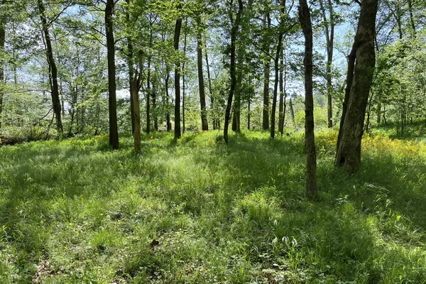 $824,900 | 1371 Johns Loop Road, Franklin, KY 42134