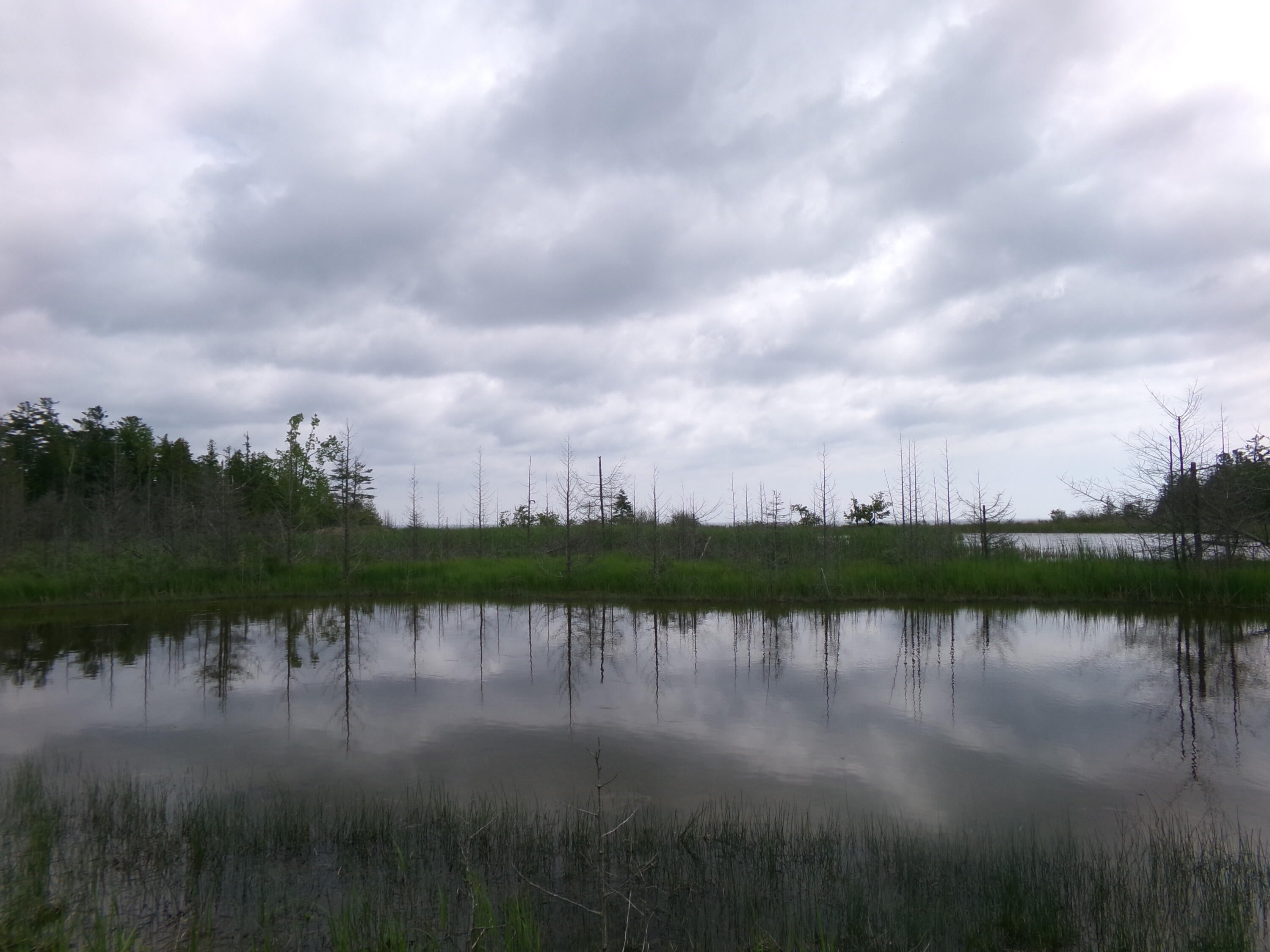 3305 El Cajan Road Alpena, MI 49707 - Photo 1 of 20