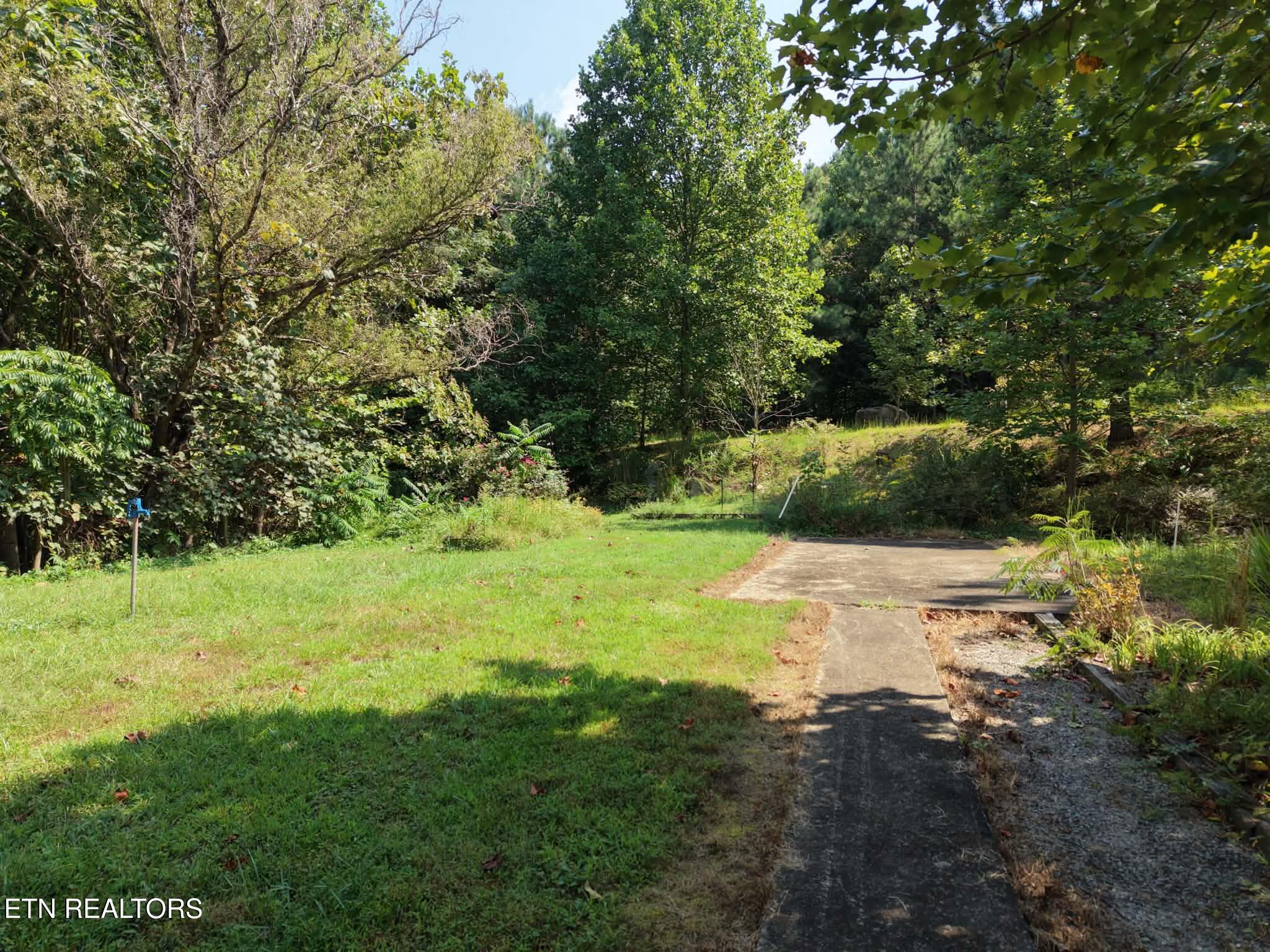 925 Tweed Springs Road Greeneville, TN 37743 - Photo 26 of 47 1-26