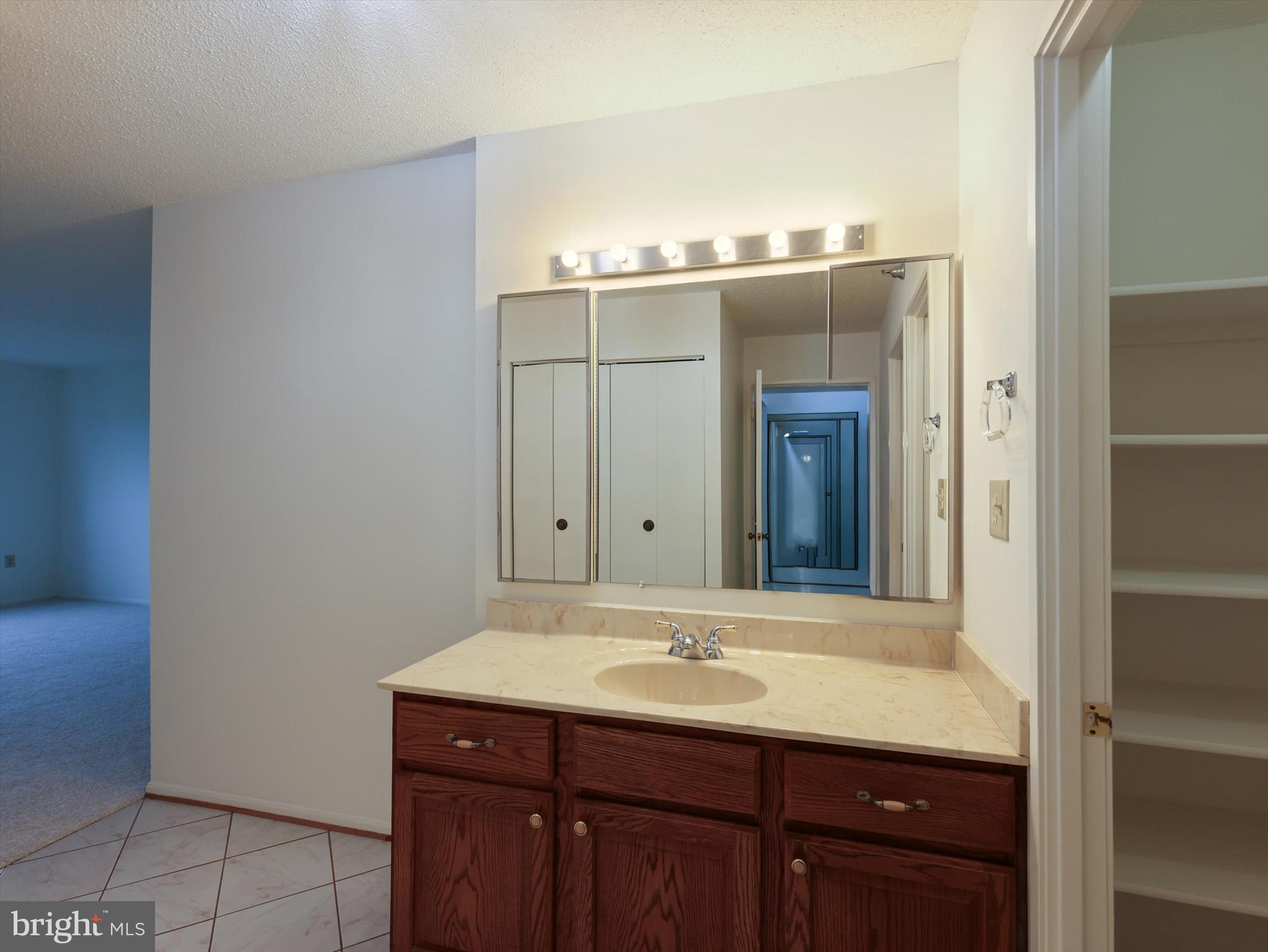 15115 Interlachen Drive, Unit 31012 Silver Spring, MD 20906 - Photo 32 of 35 a bathroom with a sink and a mirror