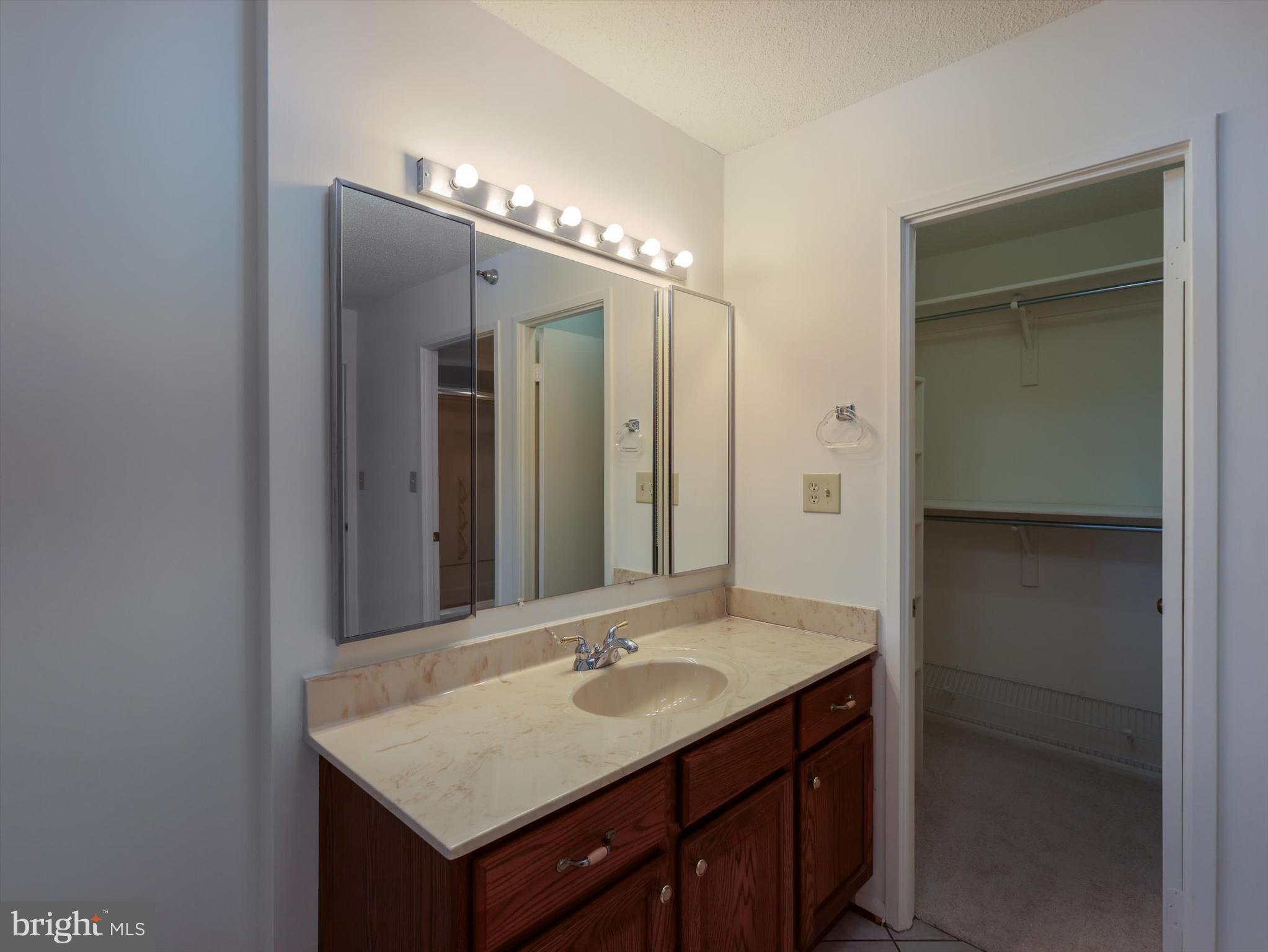 15115 Interlachen Drive, Unit 31012 Silver Spring, MD 20906 - Photo 33 of 35 a bathroom with a sink and a mirror