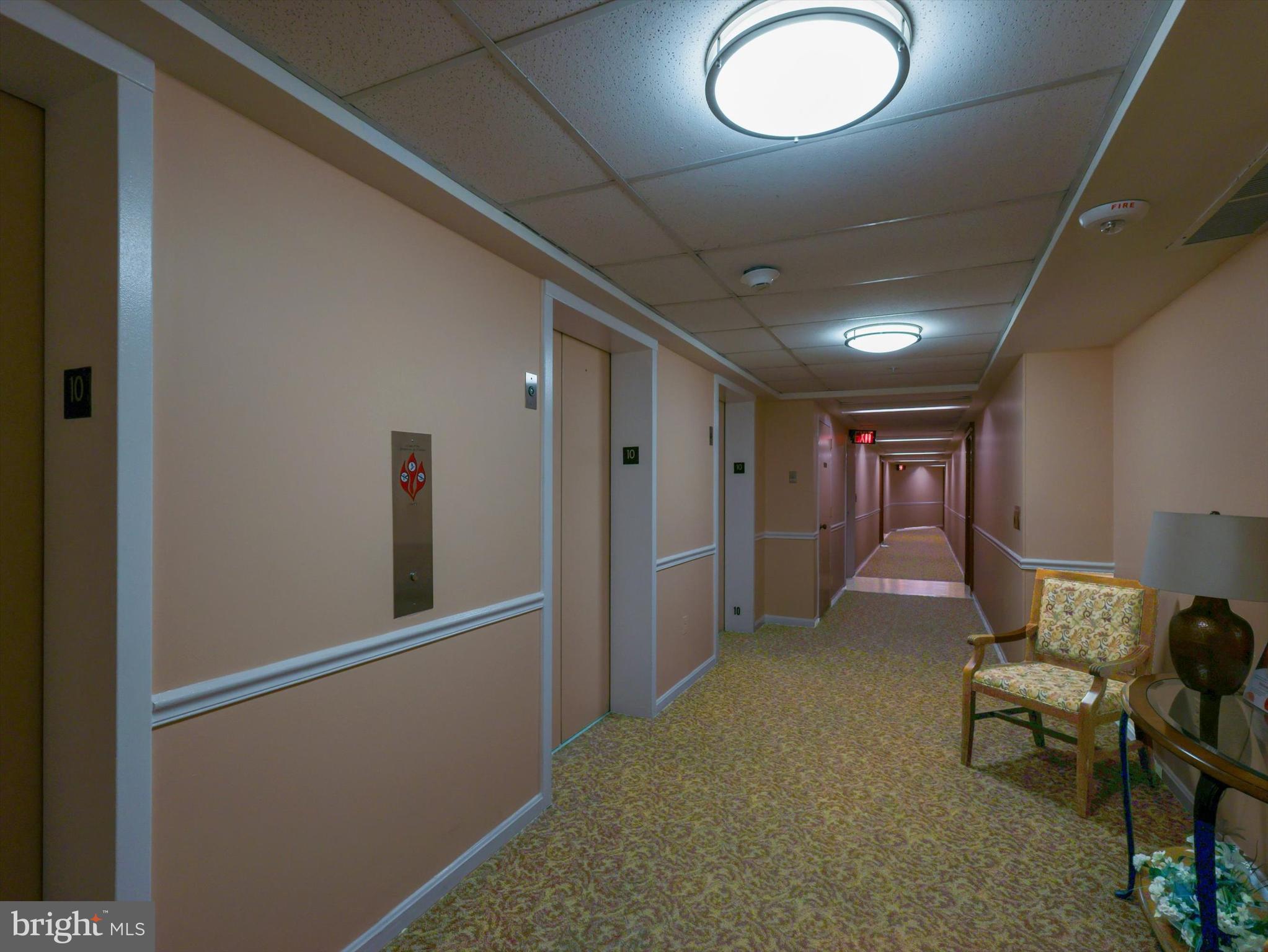 15115 Interlachen Drive, Unit 31012 Silver Spring, MD 20906 - Photo 5 of 35 a hallway with furniture and a potted plant
