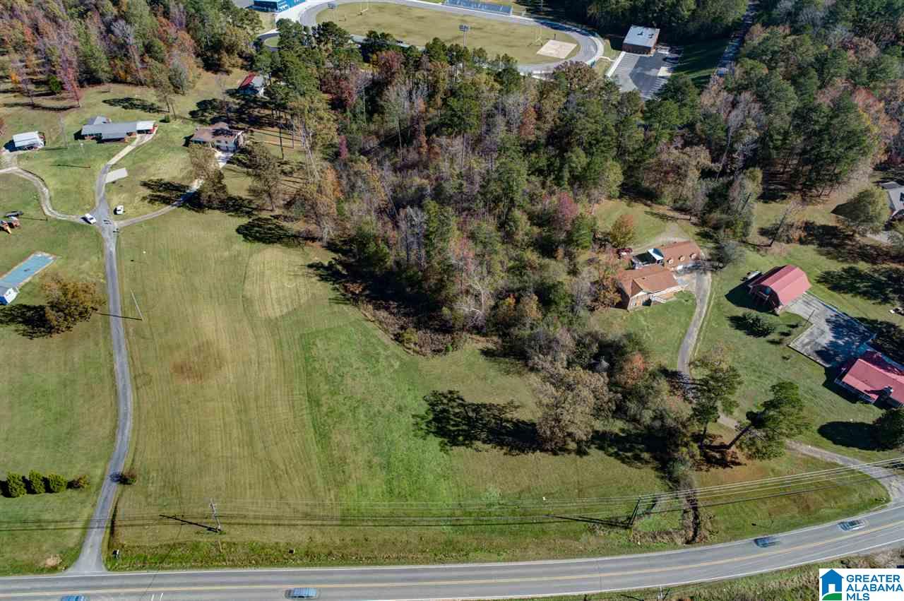 313 Old Black Crk Road Birmingham, AL 35217 - Photo 6 of 49