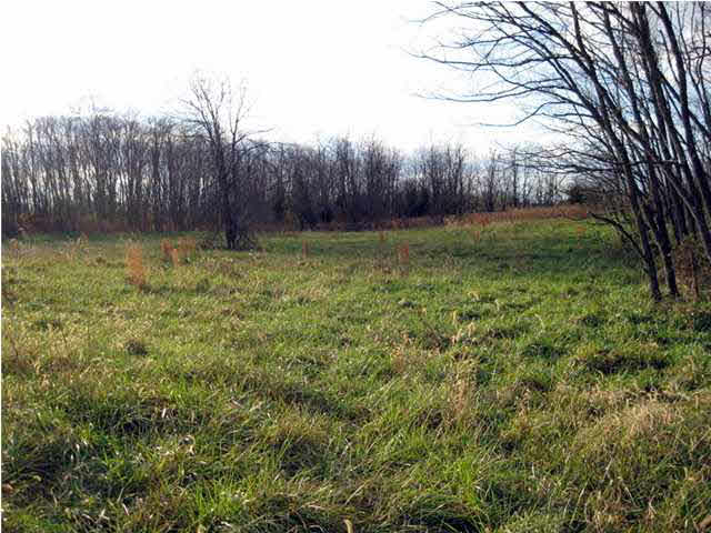 1099 West New Hope Road Boonville, IN 47601 - Photo 3 of 21 Gallery Image 3