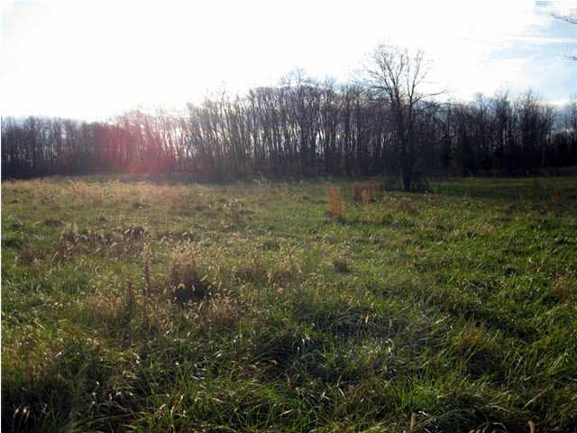 1099 West New Hope Road Boonville, IN 47601 - Photo 4 of 21 Gallery Image 4