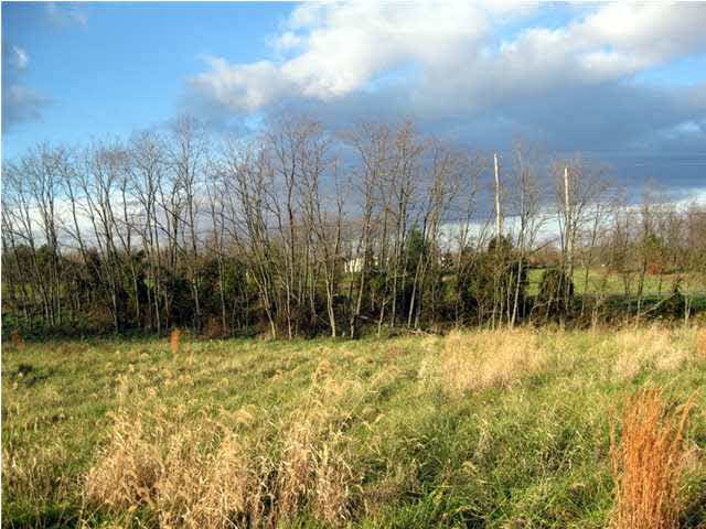 1099 West New Hope Road Boonville, IN 47601 - Photo 7 of 21 Gallery Image 7