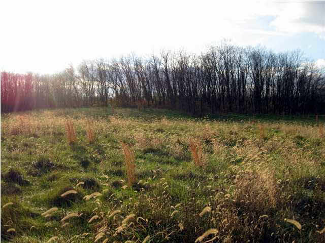 1099 West New Hope Road Boonville, IN 47601 - Photo 10 of 21 Gallery Image 10