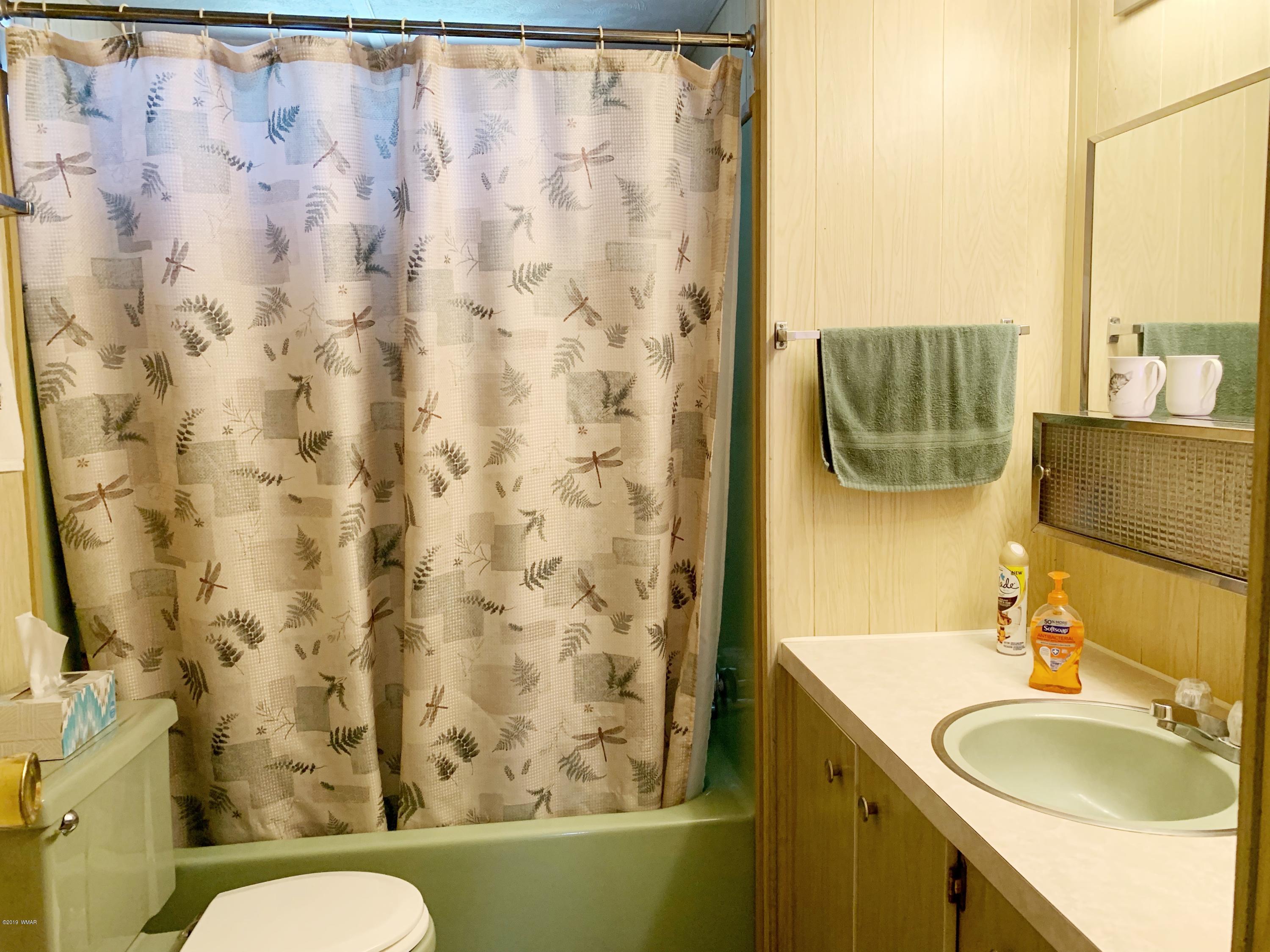 2128 Cottontail Road Overgaard, AZ 85933 - Photo 9 of 18 a bathroom with a sink toilet and shower