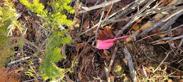 $70,000 | 17-1 Sugar Hill Road, Eastbrook, ME 04634