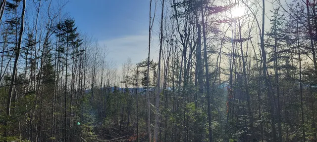 $70,000 | 17-1 Sugar Hill Road, Eastbrook, ME 04634