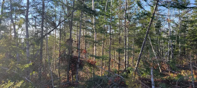 $70,000 | 17-1 Sugar Hill Road, Eastbrook, ME 04634