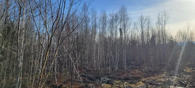 $70,000 | 17-1 Sugar Hill Road, Eastbrook, ME 04634