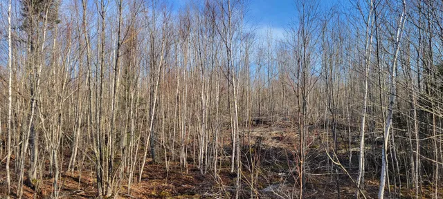 $70,000 | 17-1 Sugar Hill Road, Eastbrook, ME 04634