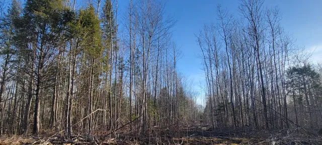 $70,000 | 17-1 Sugar Hill Road, Eastbrook, ME 04634