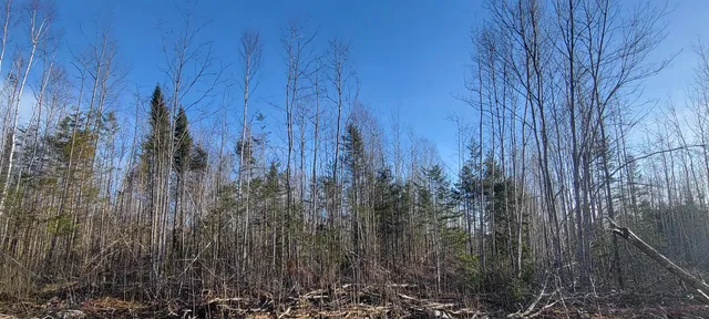 $70,000 | 17-1 Sugar Hill Road, Eastbrook, ME 04634