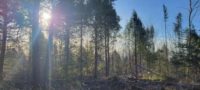 $70,000 | 17-1 Sugar Hill Road, Eastbrook, ME 04634