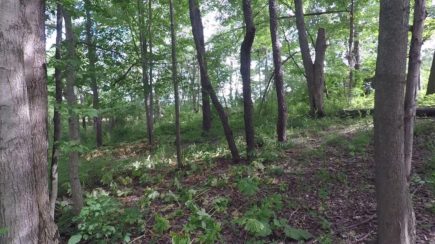 0 Mulvaney Road Manchester, MI 48158 - Photo 42 of 78 Photo 42