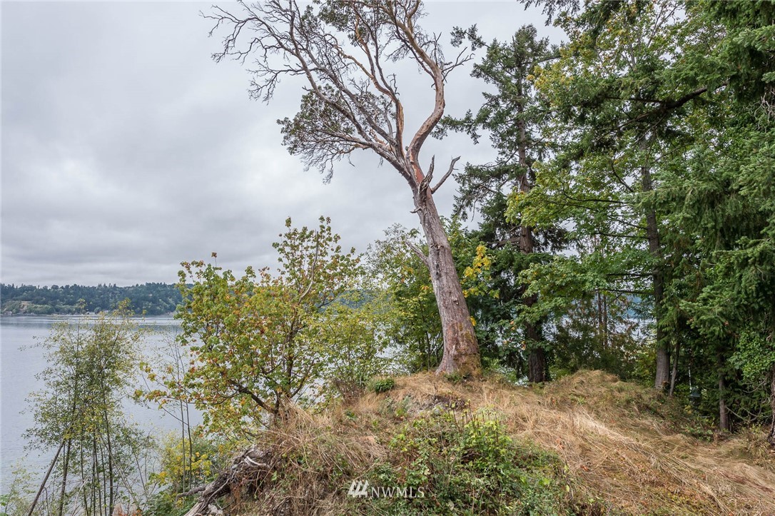 187-xx Sunset Road Southwest Vashon, WA 98070 - Photo 6 of 10 Gallery Image 6
