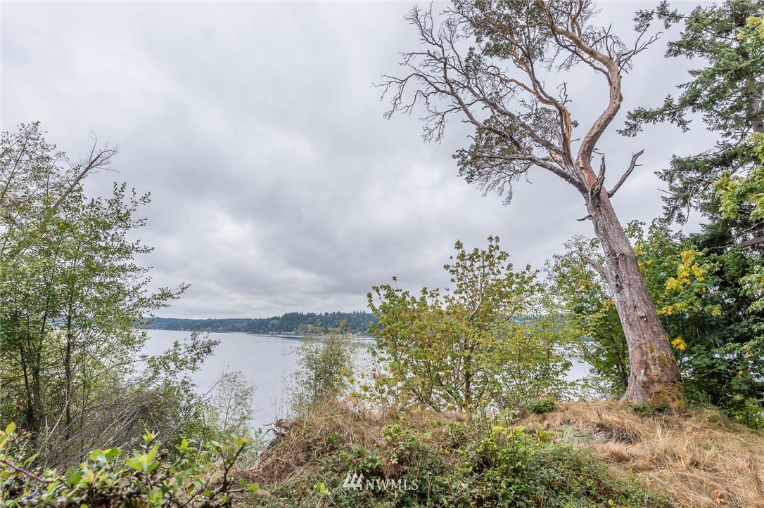 187-xx Sunset Road Southwest Vashon, WA 98070 - Photo 7 of 10 Gallery Image 7