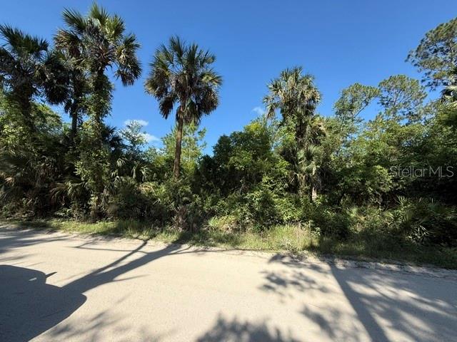 75 County Road Bunnell, FL 32110 - Photo 2 of 10 a view of a yard with a tree