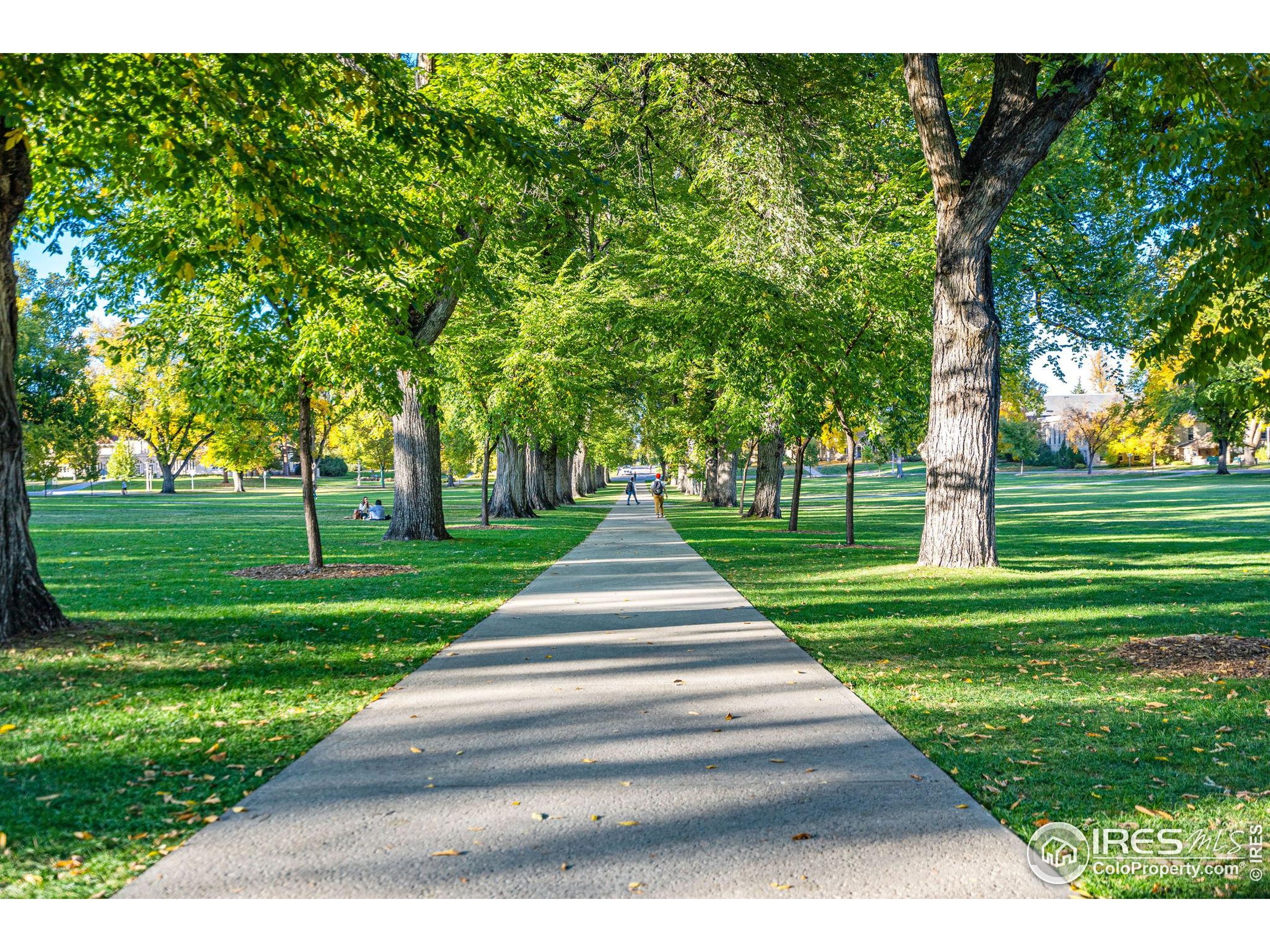 1021 Rolland Moore Drive, Unit F Fort Collins, CO 80526 - Photo 28 of 29