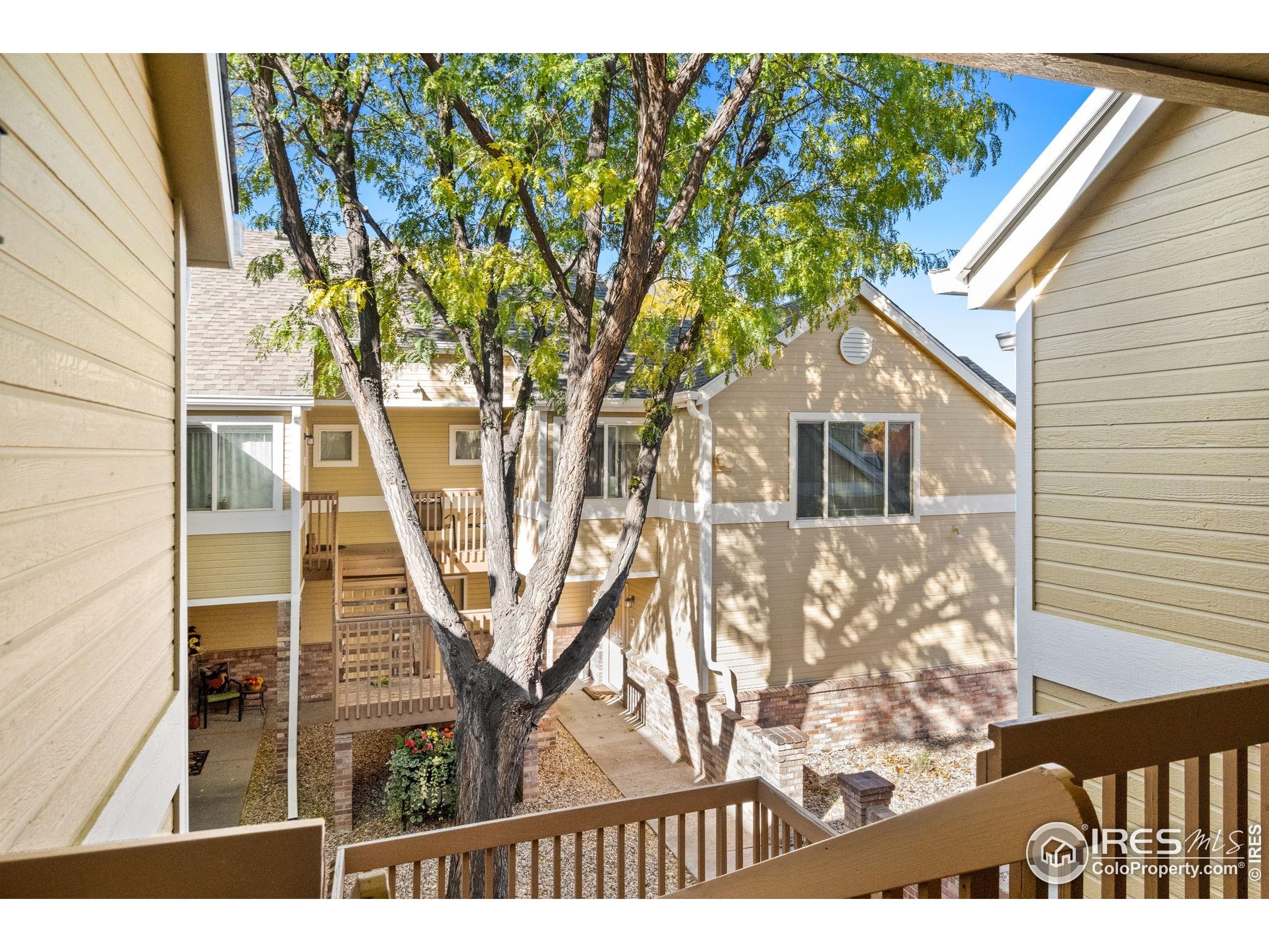 1021 Rolland Moore Drive, Unit F Fort Collins, CO 80526 - Photo 4 of 29 a view of a yard in front of a house with a large tree